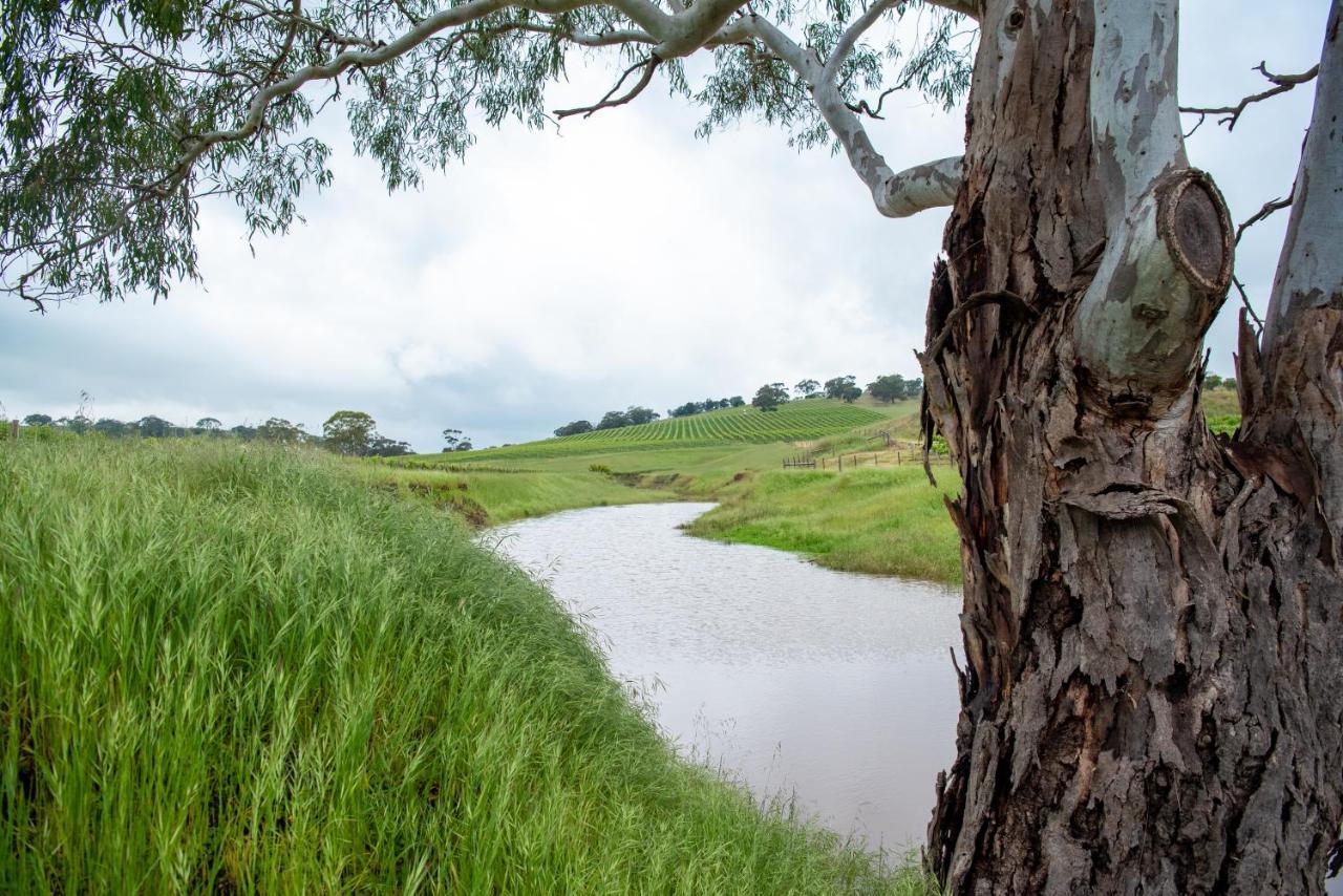 Triple Creek Guest House - Barossa Region Seppeltsfield المظهر الخارجي الصورة