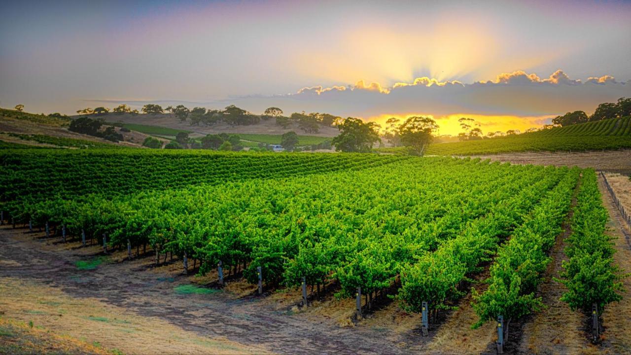 Triple Creek Guest House - Barossa Region Seppeltsfield المظهر الخارجي الصورة